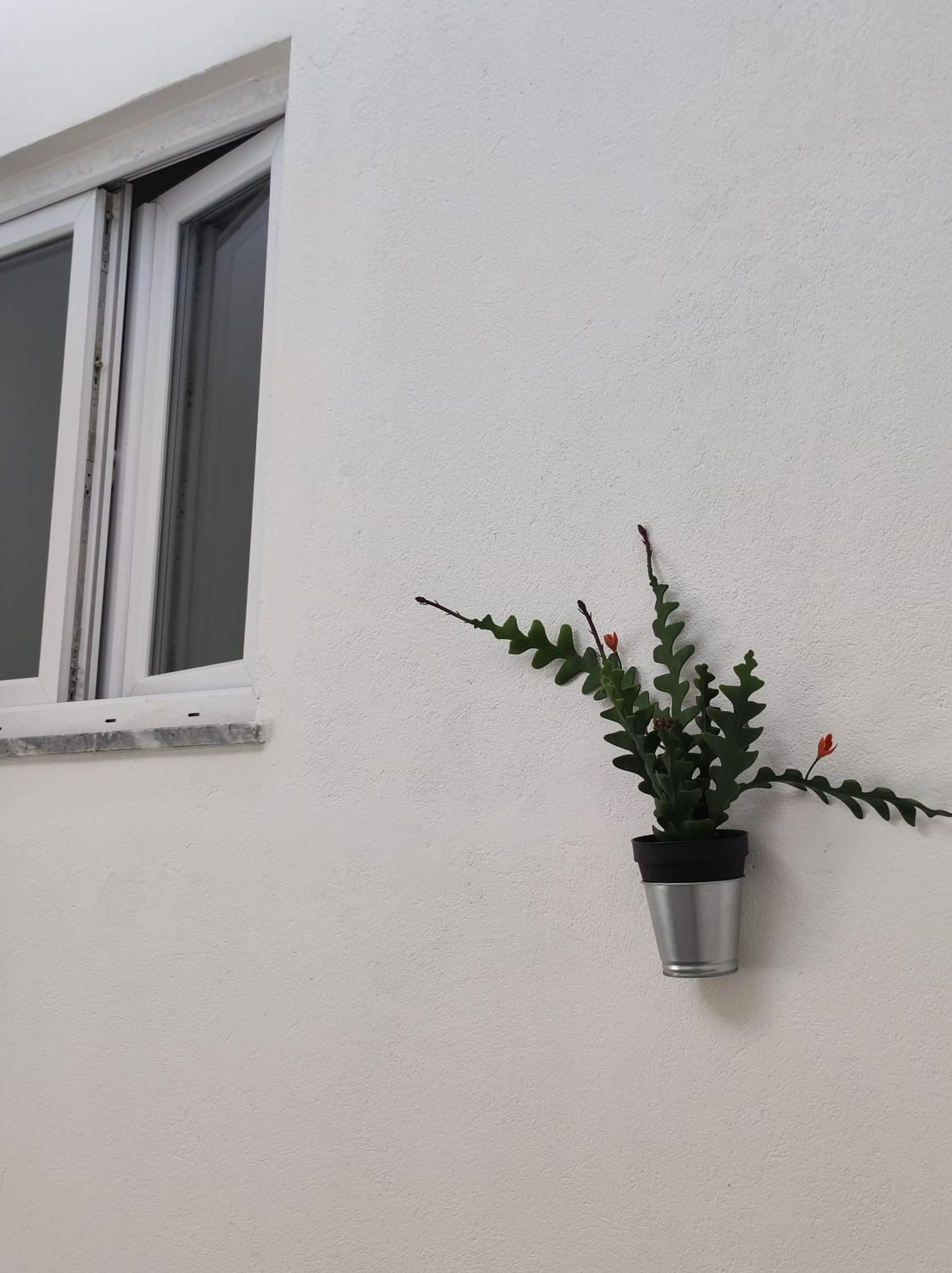 Divine Room FAO Exterior photo